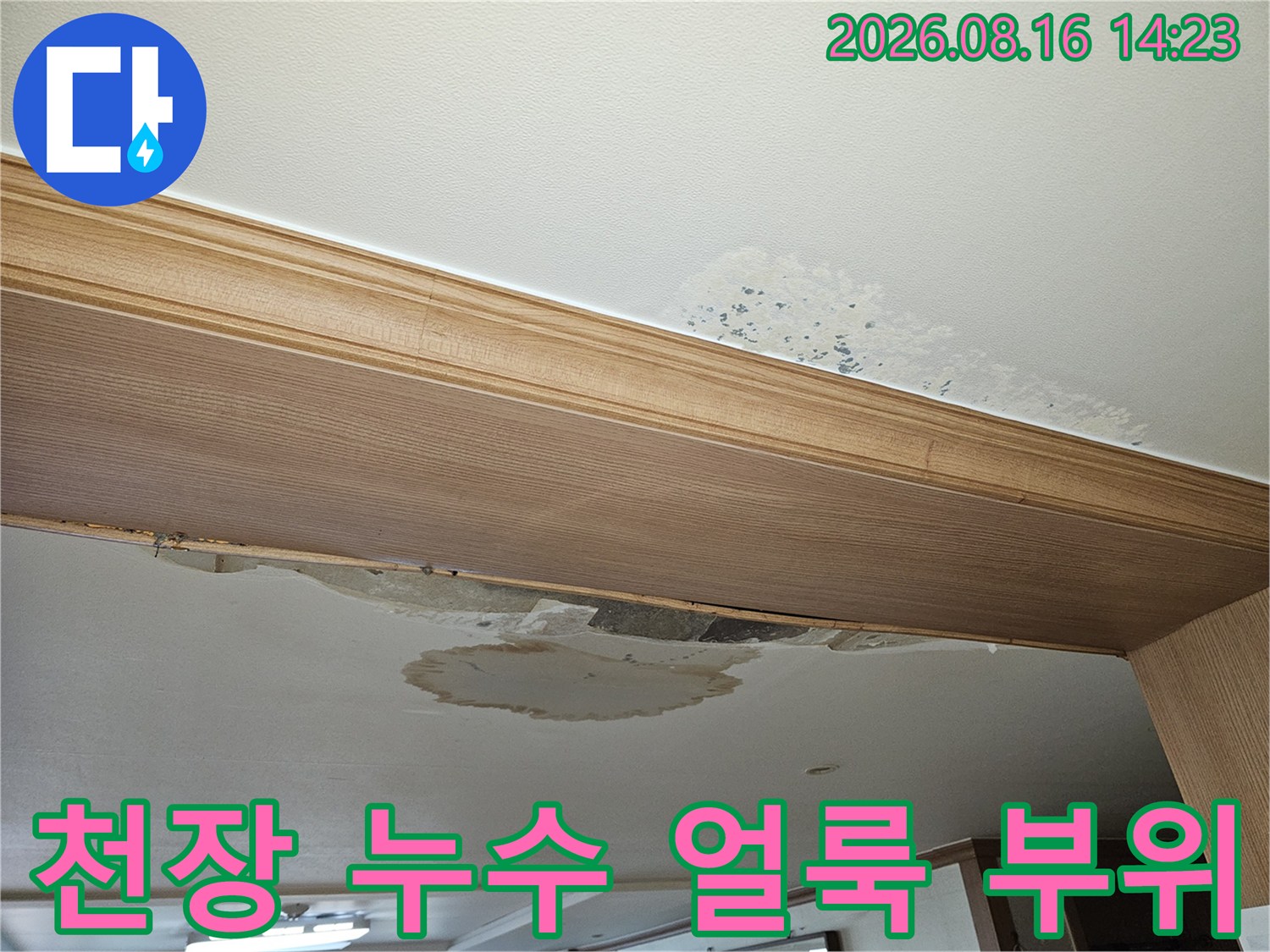 도봉구 아파트 천장 벽지가 젖어 변색된 모습
