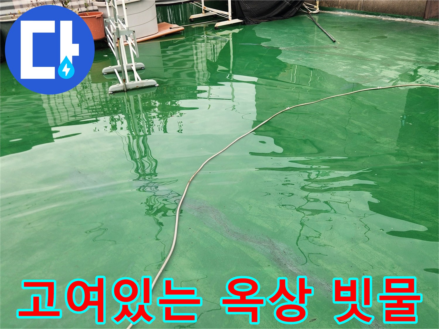 초록색-옥상바닥-배수불량-상태