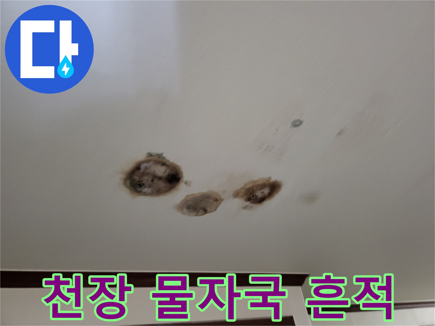 다세대주택-천장-얼룩진-누수-흔적