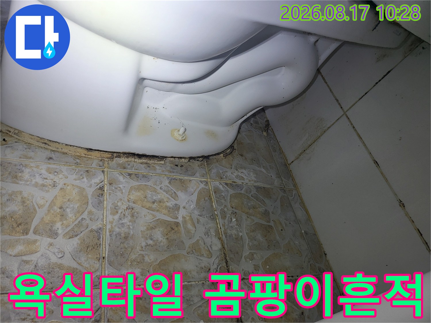 변기-주변-타일-줄눈-사이의-심한-변색과-오염