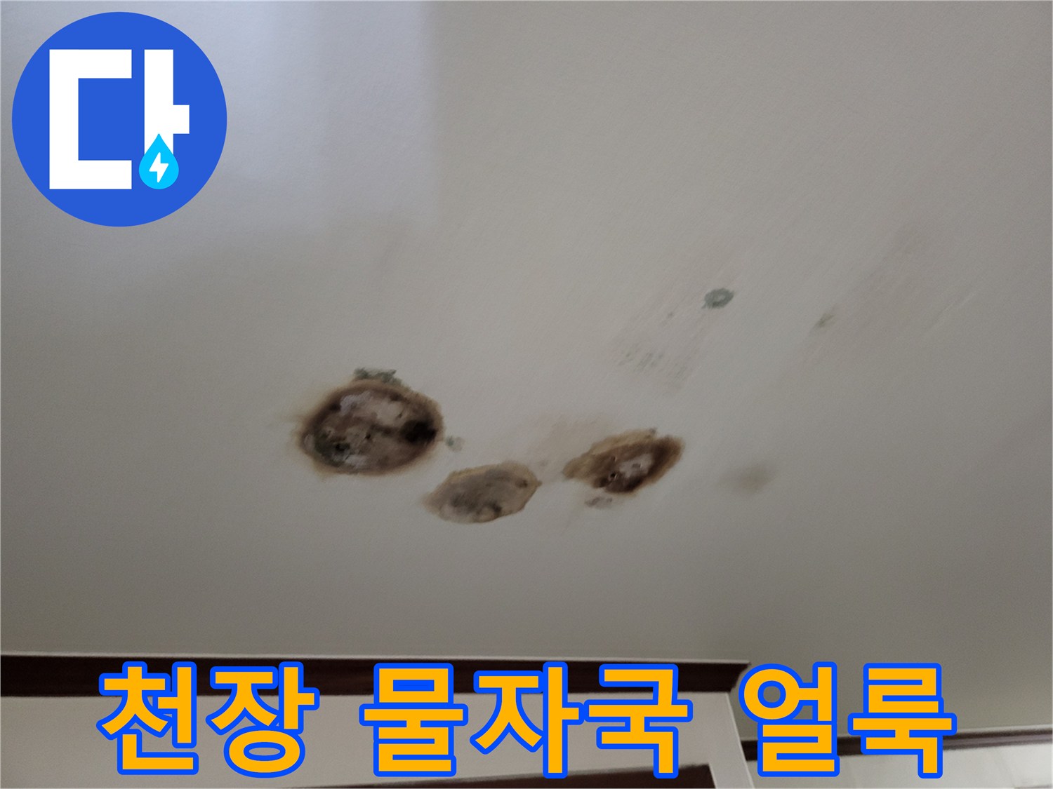 아래층-천장에-발생한-커다란-누수-얼룩-현황