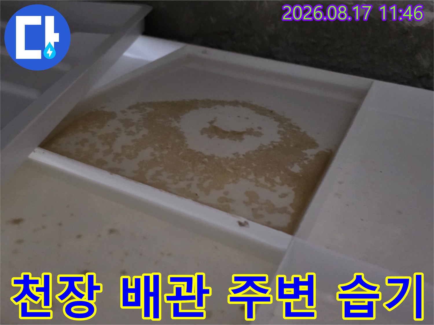 배관 관통 부위 주변의 젖은 흔적과 슬라브 오염 상태