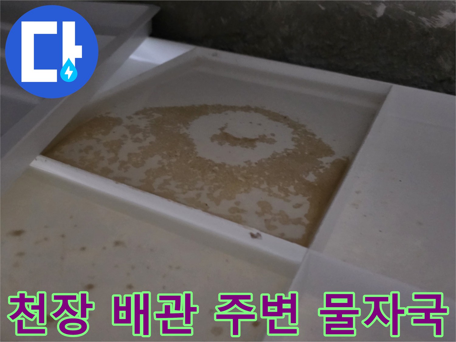 화장실 천장 슬라브의 젖은 부위와 물기 분포 상태