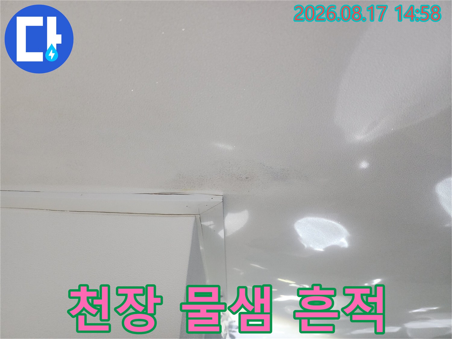 천장 도장면의-불규칙한 누수 침투 및 변색 부위