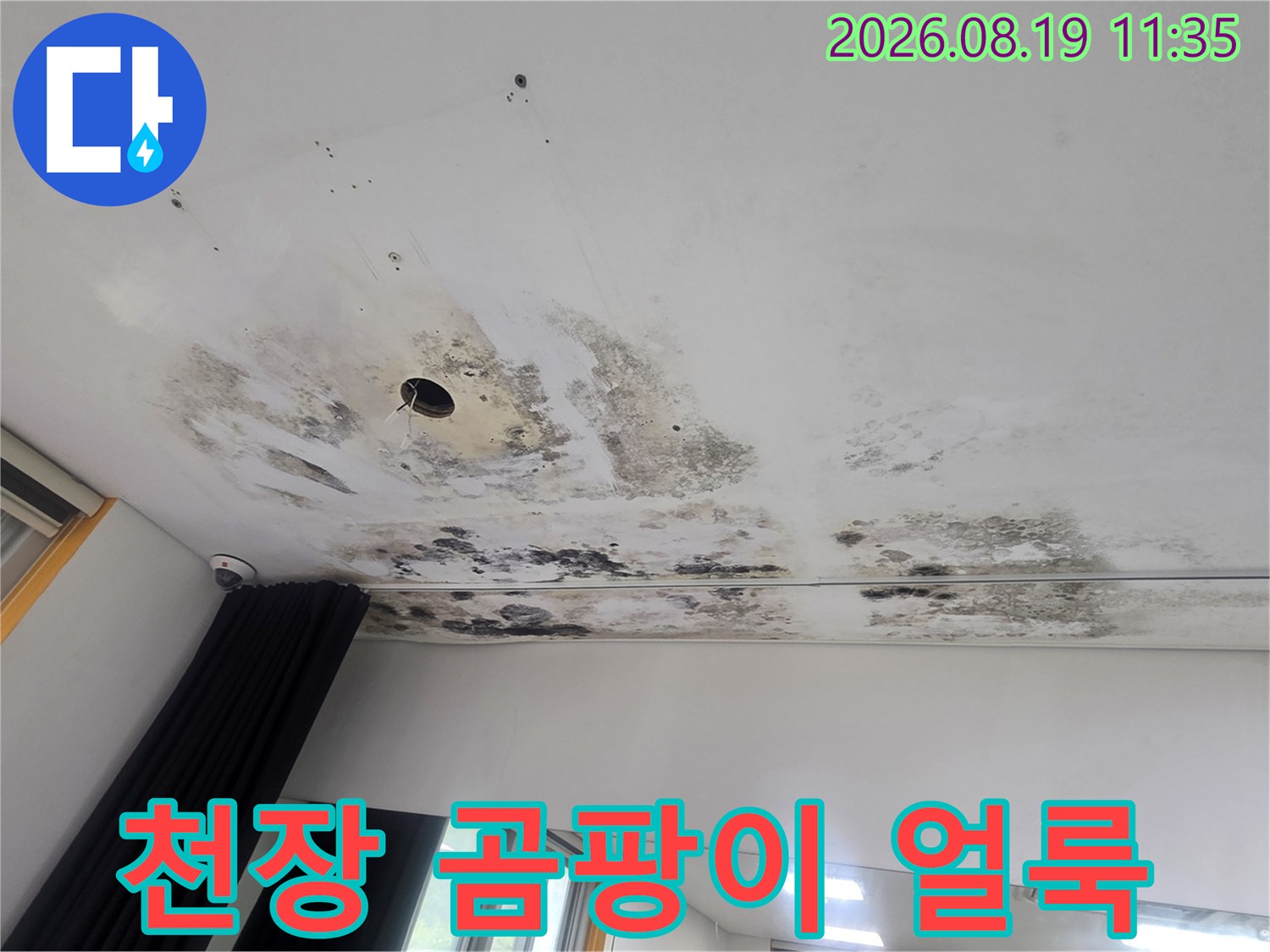 천장 조명 주변에 넓게 퍼진 검은색 곰팡이와 물 얼룩 현상