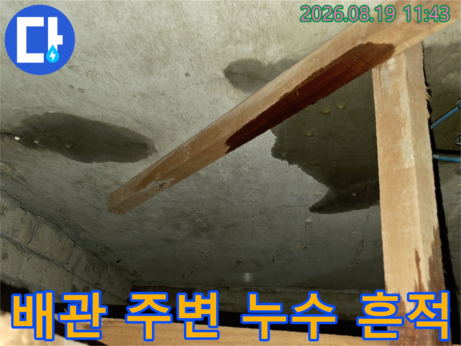 배관 근처 천장 콘크리트의 젖은 얼룩 부위