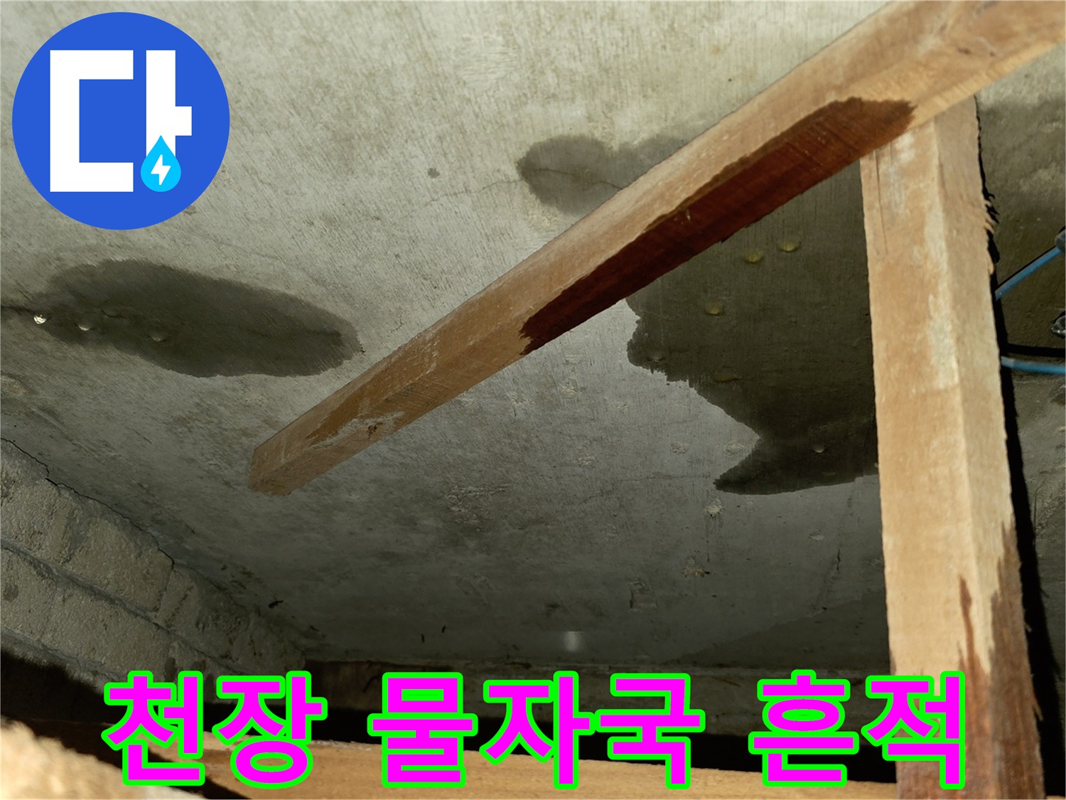 포천 신읍동 빌라 천장의 젖은 얼룩과 습기 상태