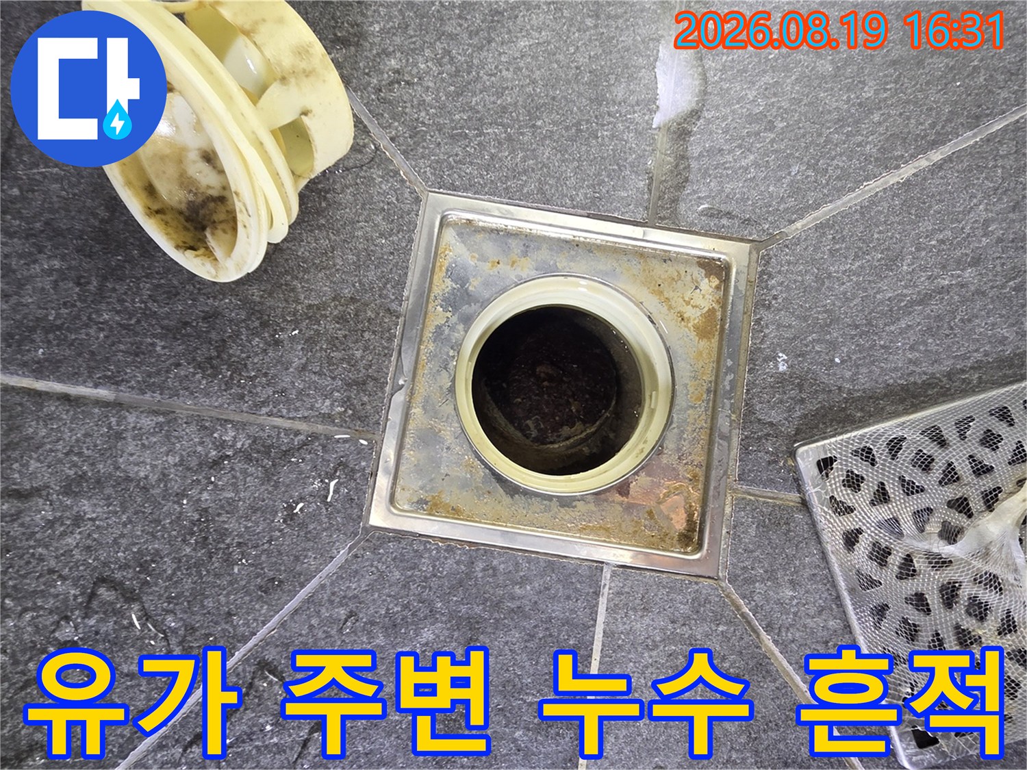 배수구 유가 주변의 습기와 오염된 타일 상태