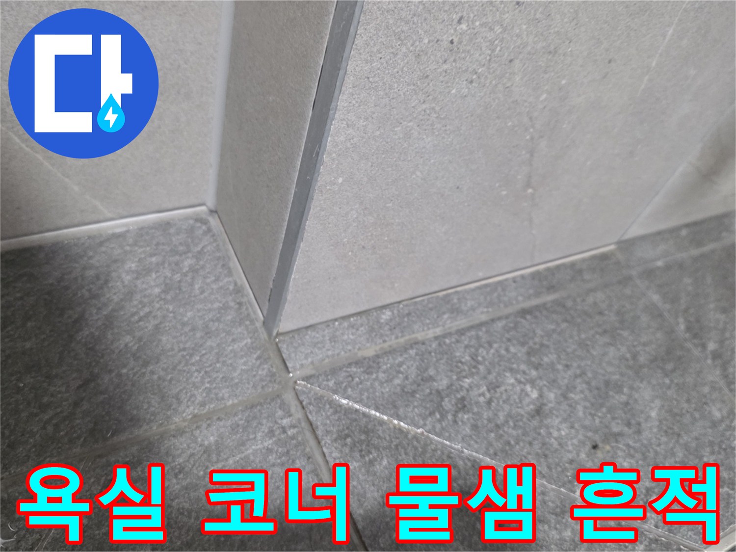 용인 기흥구 화장실-타일 사이로 스며든 물기 현상