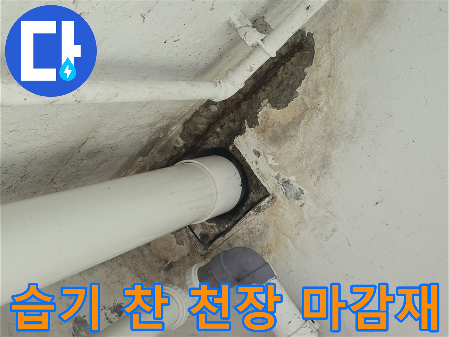 배관 주변에 발생한 곰팡이와 습기로 인한 천장 도장 박리