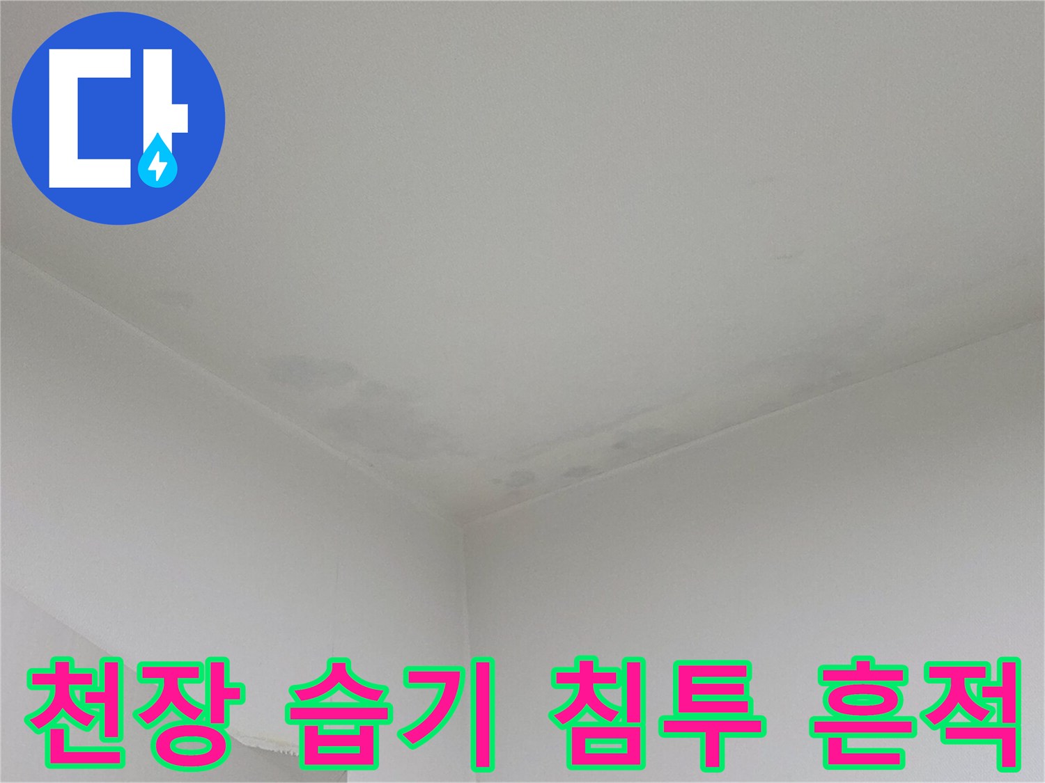 천장 전반에 나타난-습기 및 물자국 현상