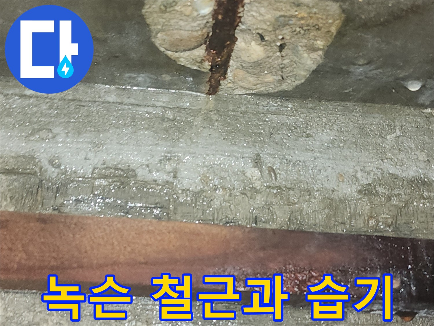 부식된-철근-및-젖은-비트실-내벽