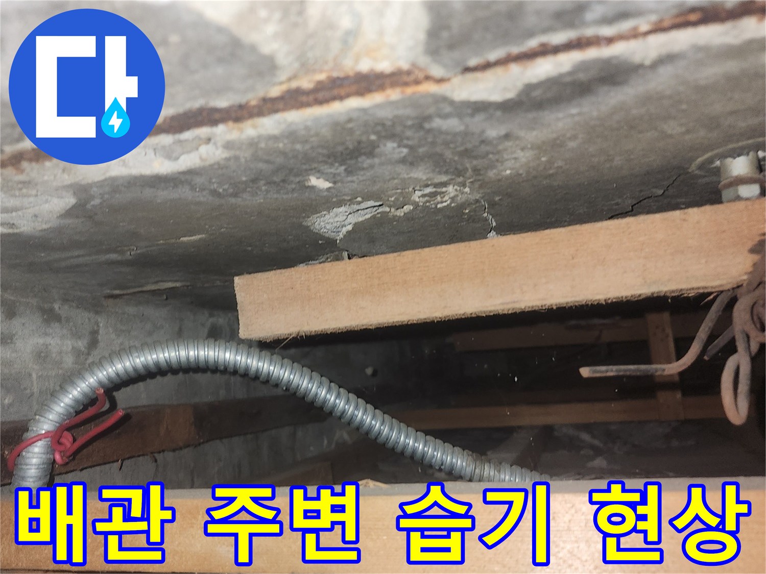 비트-내부의-젖은-벽면과-주름관-배관-사진