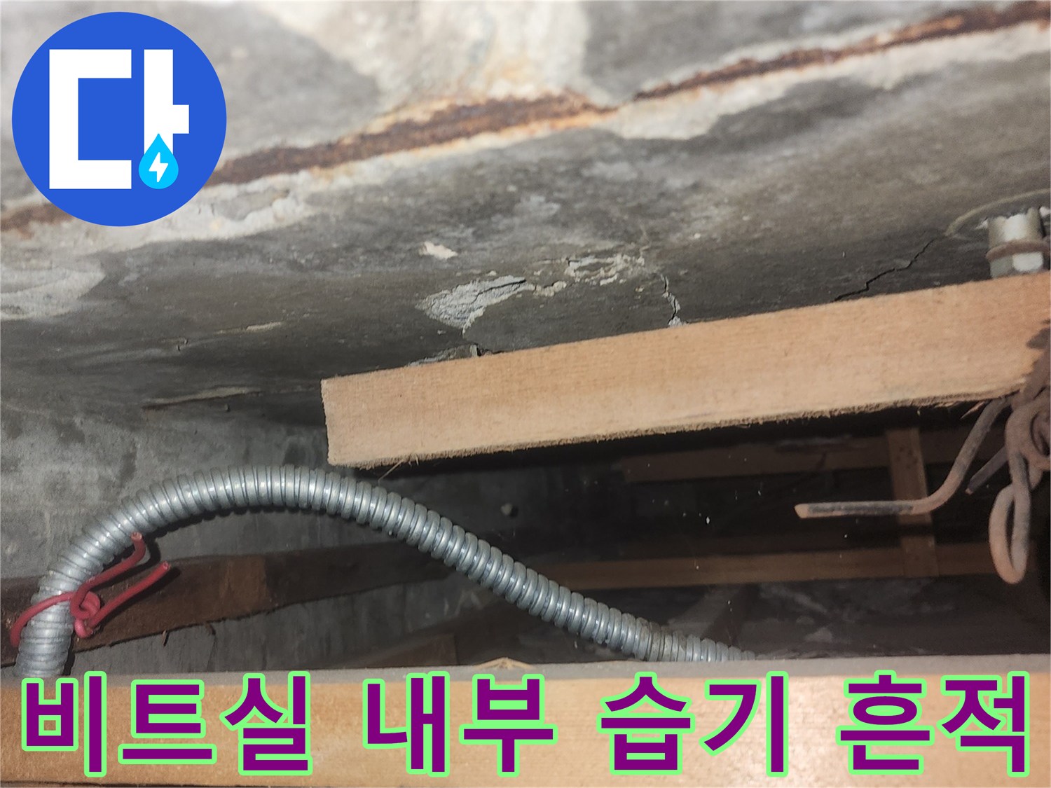 비트실-내부-벽면-젖음-및-배관-상태