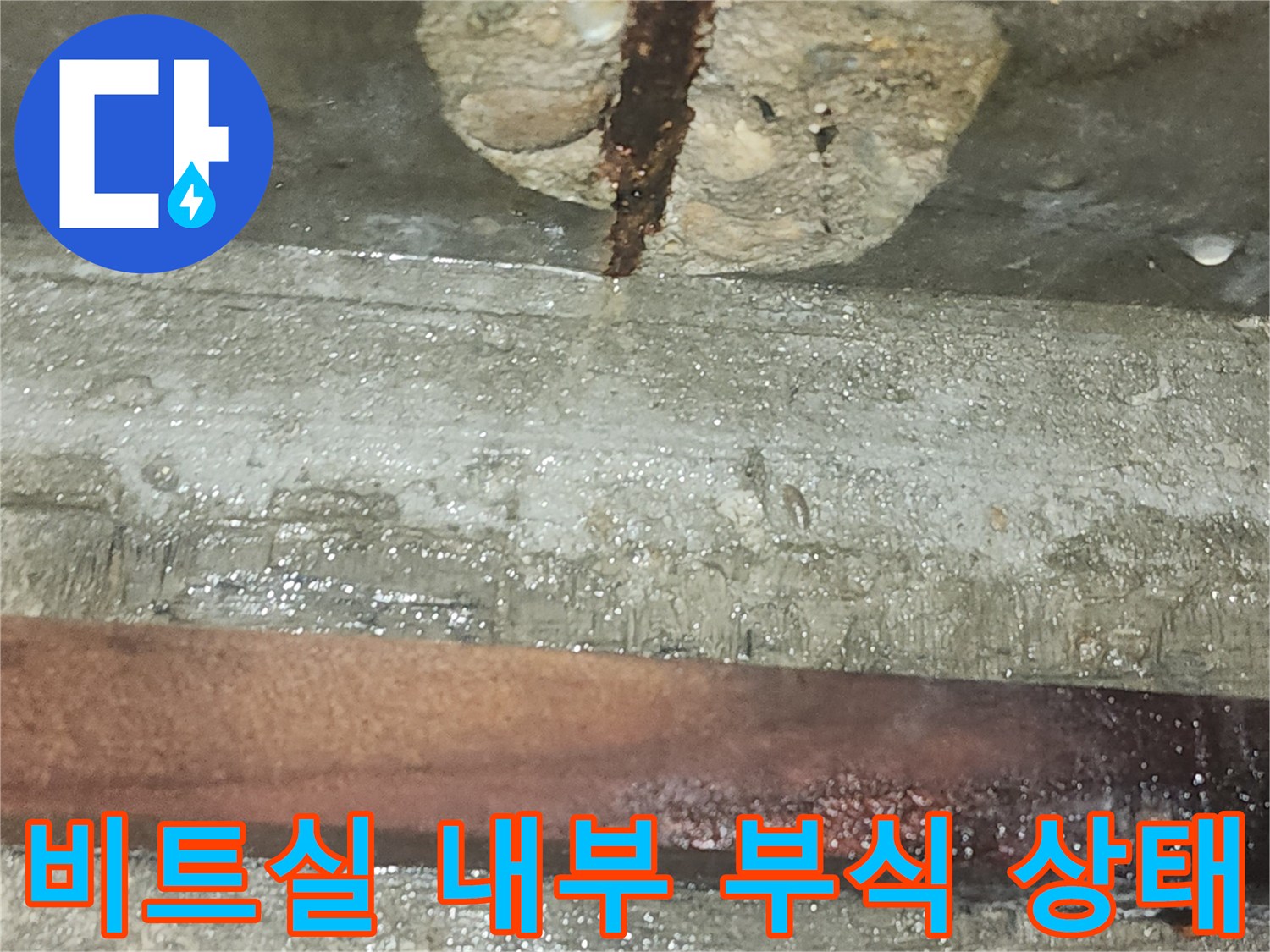 비트실-내부-철근-부식과-습기-상태