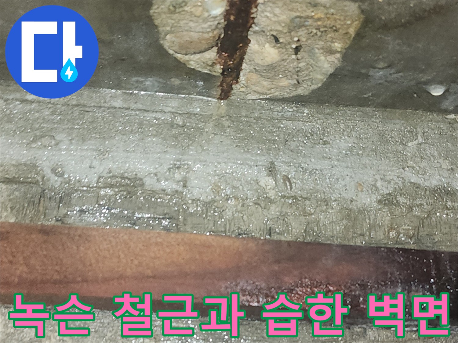 습기-머금은-비트실-내부의-철근-부식-상태