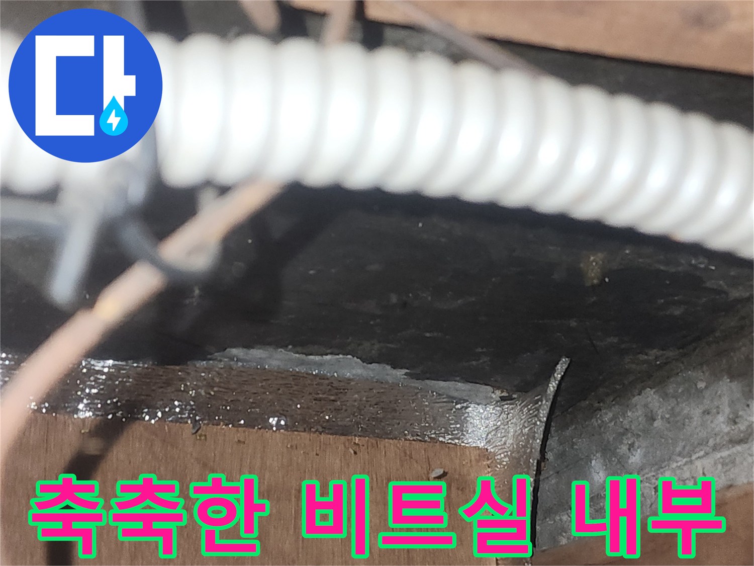 습기가-가득한-비트실-배관-주변-현장