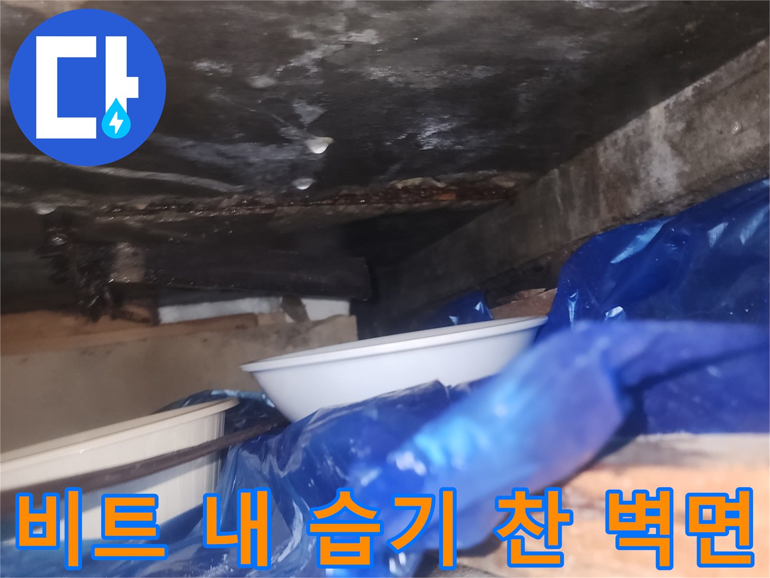 습기로-오염된-비트실-내부-벽면-사진