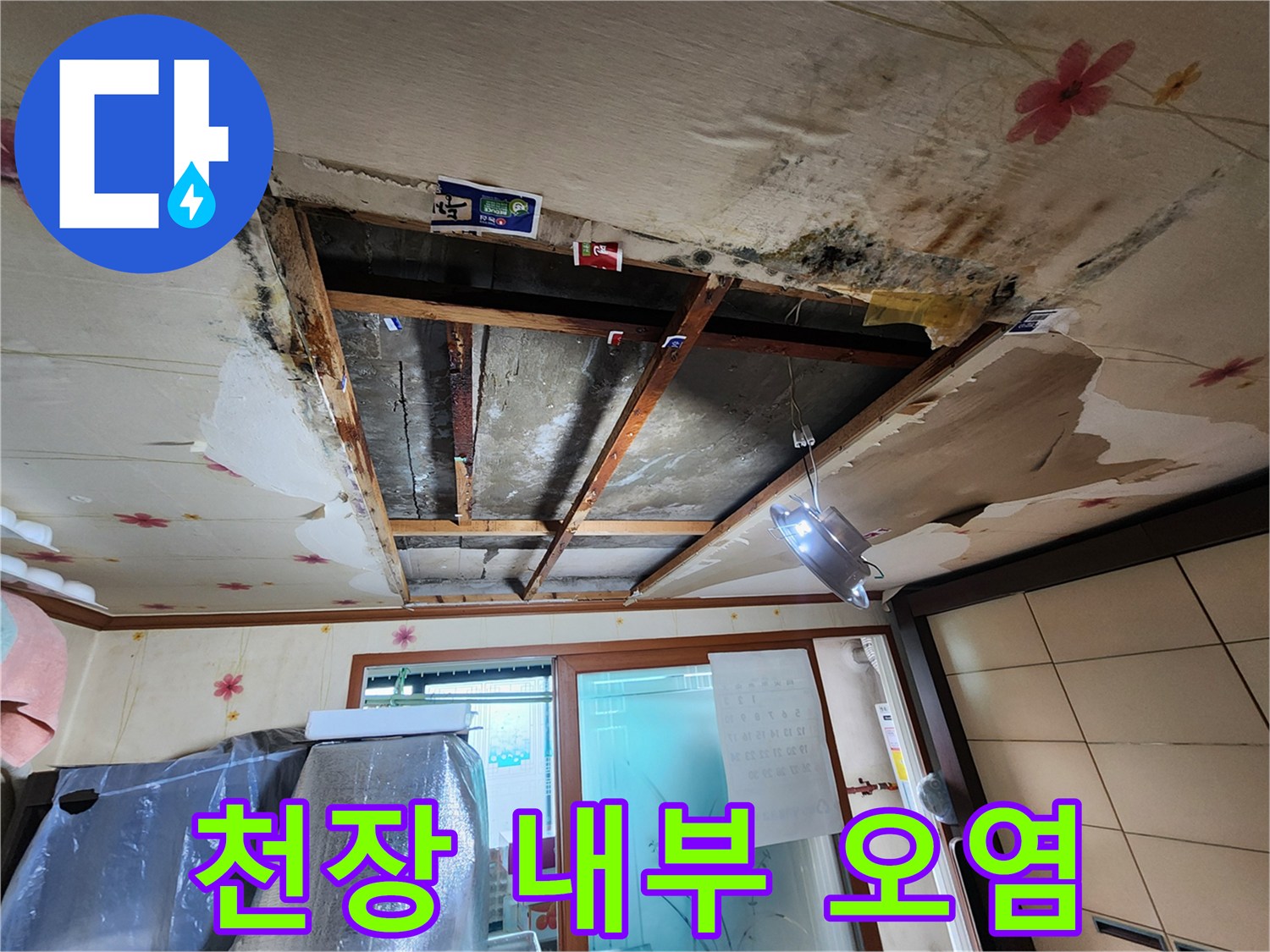 천장 안쪽의 곰팡이와 습기 침투 흔적
