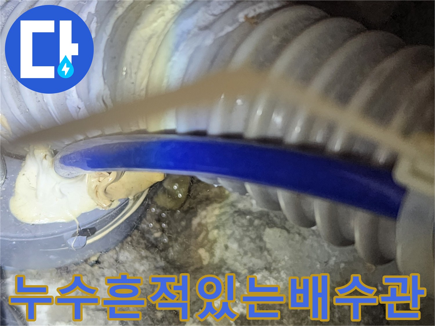 물샘으로-얼룩진-싱크대 배수 호스 주변