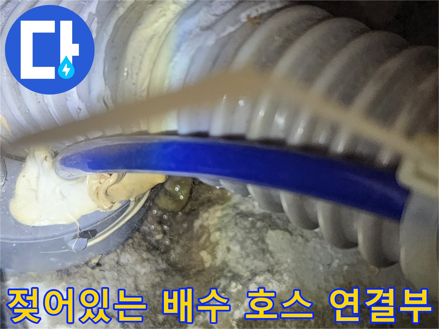싱크대 하부 파란색 호스와 흰색 주름관의 오염된 모습