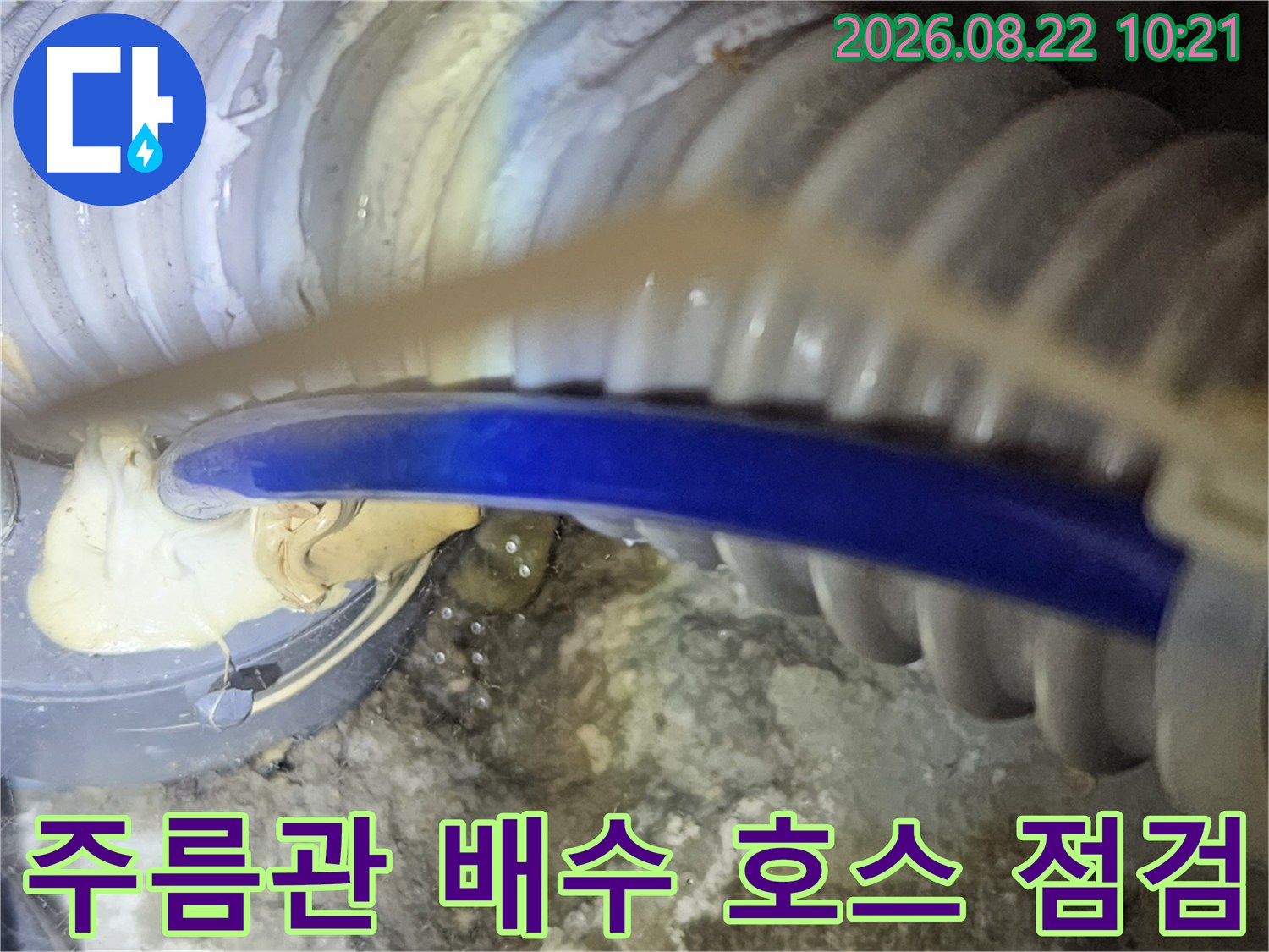 회색 주름관 연결 부위의 파란색 배수 호스 노출 상태