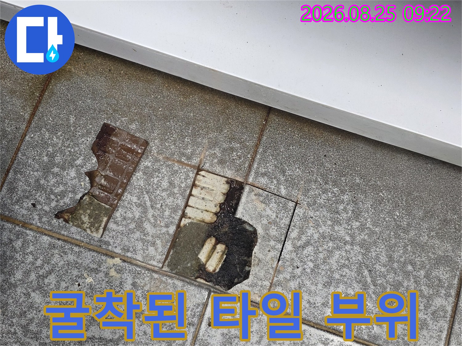 신현동 배수구 주변-타일을 제거하여 드러난 틈새 부위