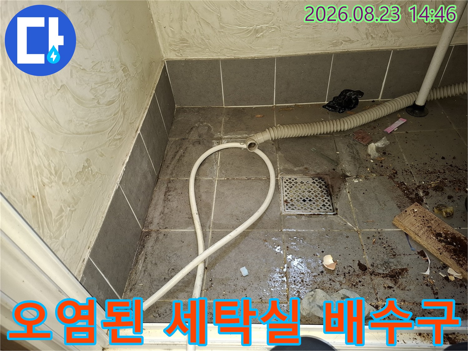 이물질과 물기가 섞여 있는 세탁실 배수구 주변의 모습입니다.