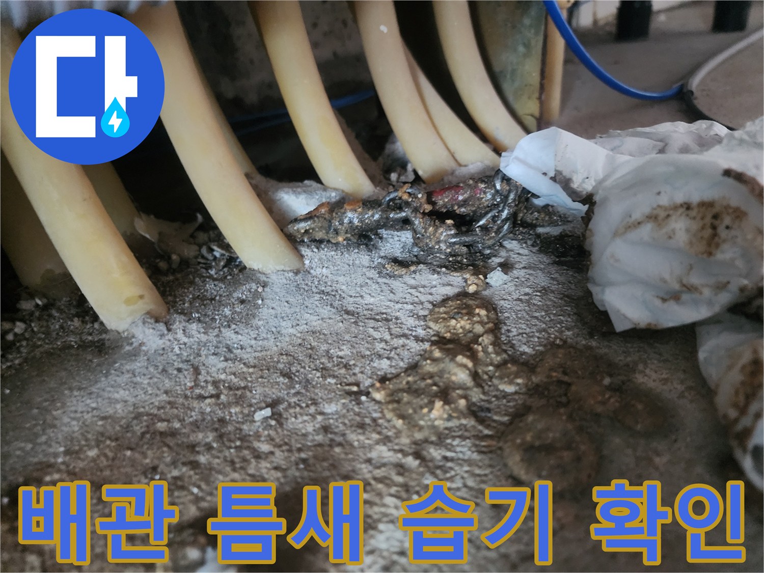 싱크대-배관-사이의-물샘-및-오염-흔적