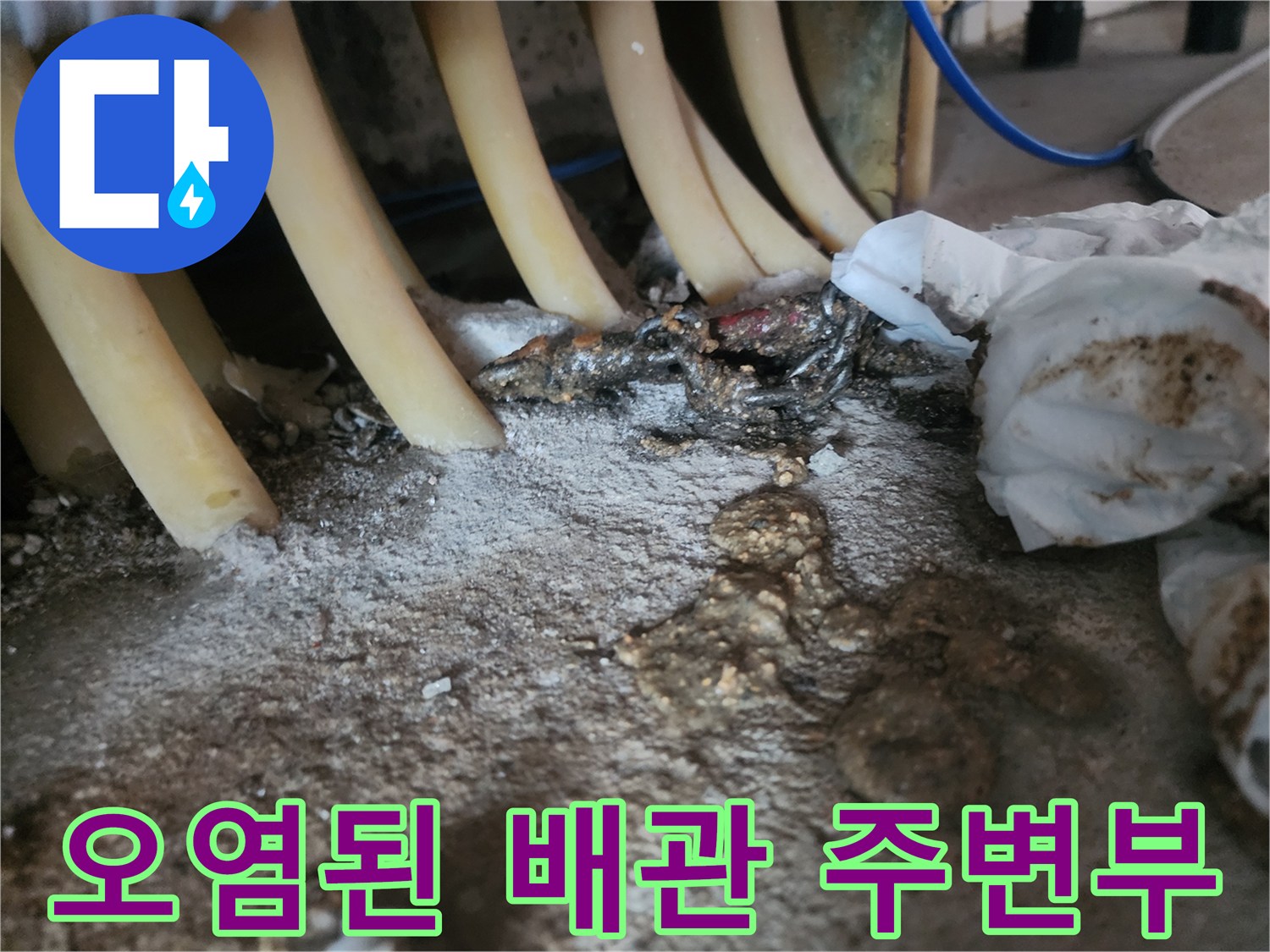 싱크대-하부-배관의-역류-찌꺼기