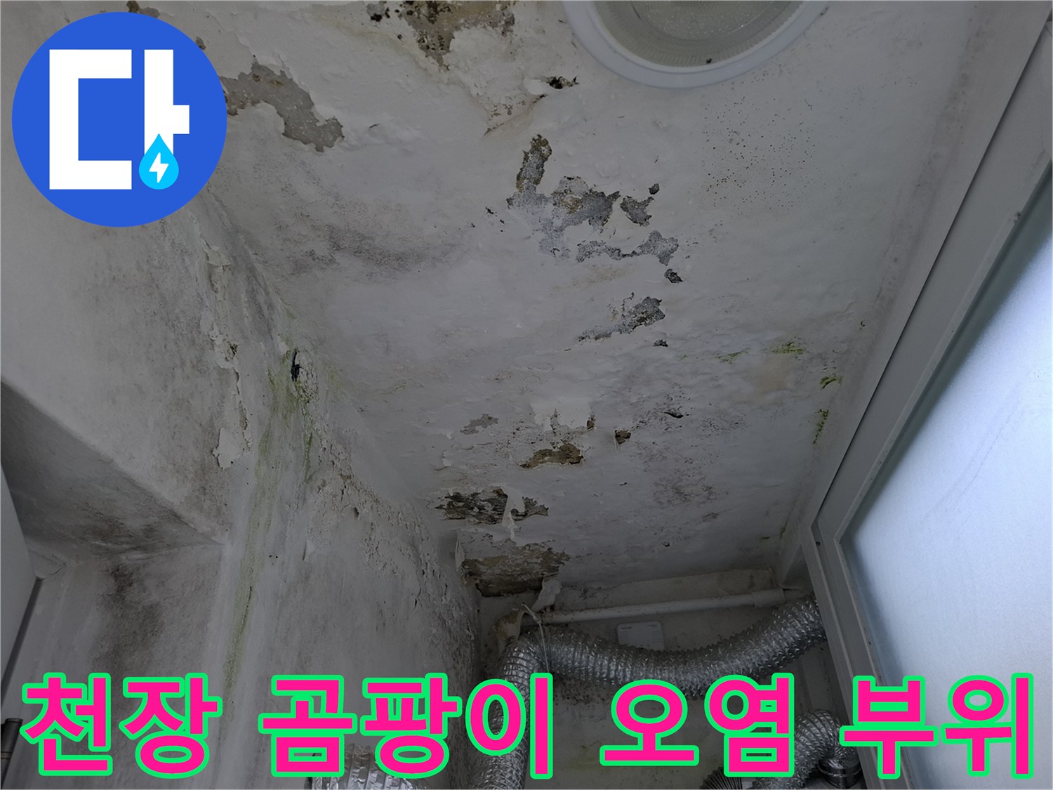 물샘으로 인해 누렇게 변한 천장과 퍼진 곰팡이