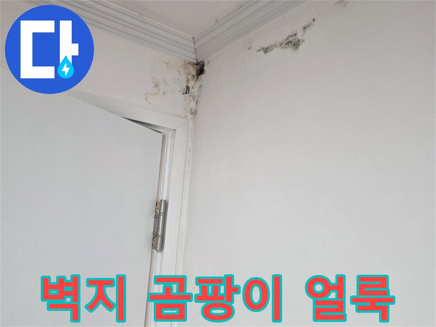 아파트 천장 몰딩 주변의 젖은 벽지와 곰팡이 현상