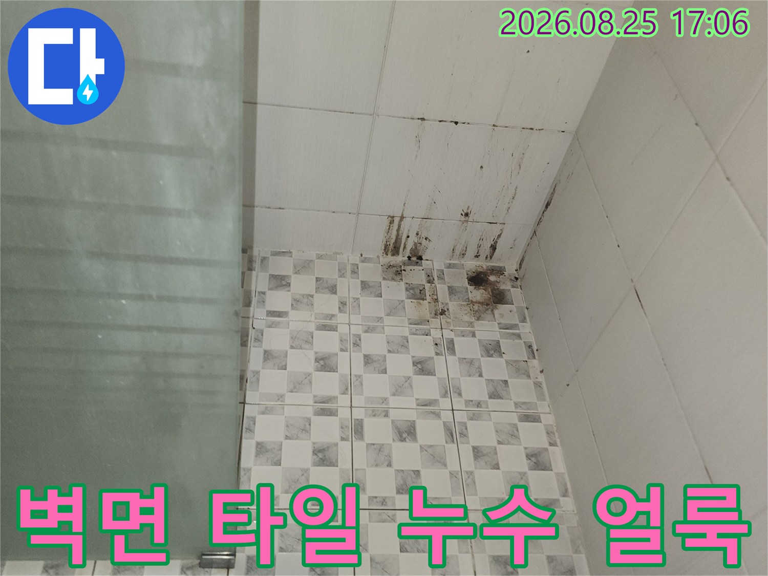 화장실 상단 타일에 발생한 검은색 곰팡이와 물자국