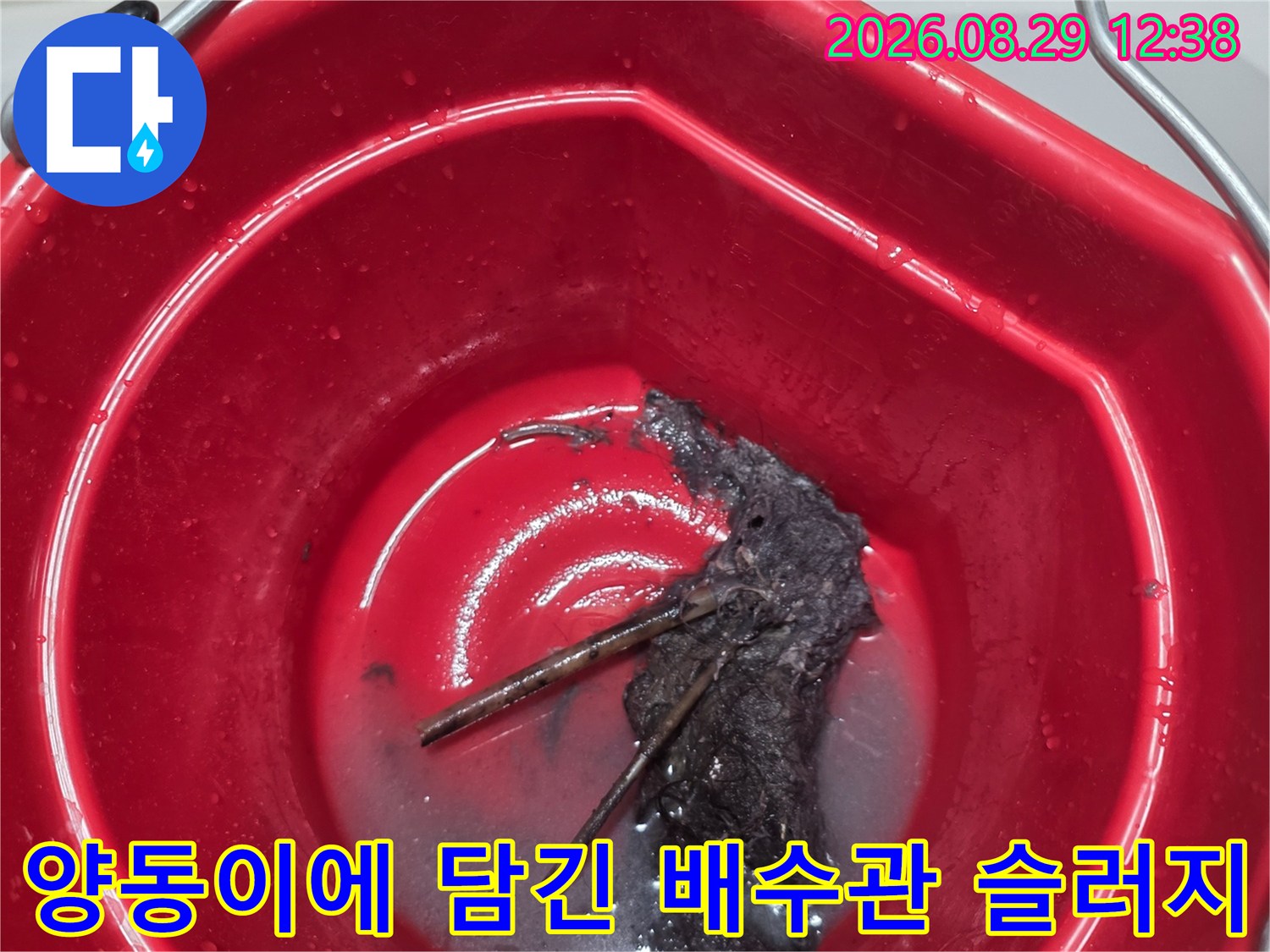 빨간 양동이 내부에 가득 차 있는 검은색 배수구 오염물 찌꺼기