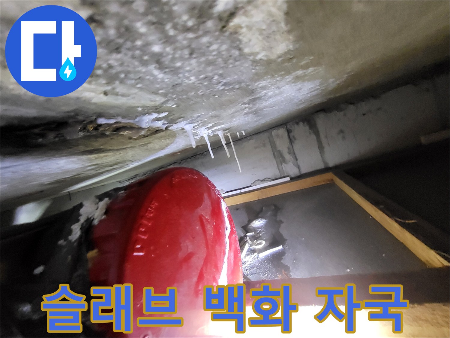 천장 콘크리트-하얀색으로 변한 부분