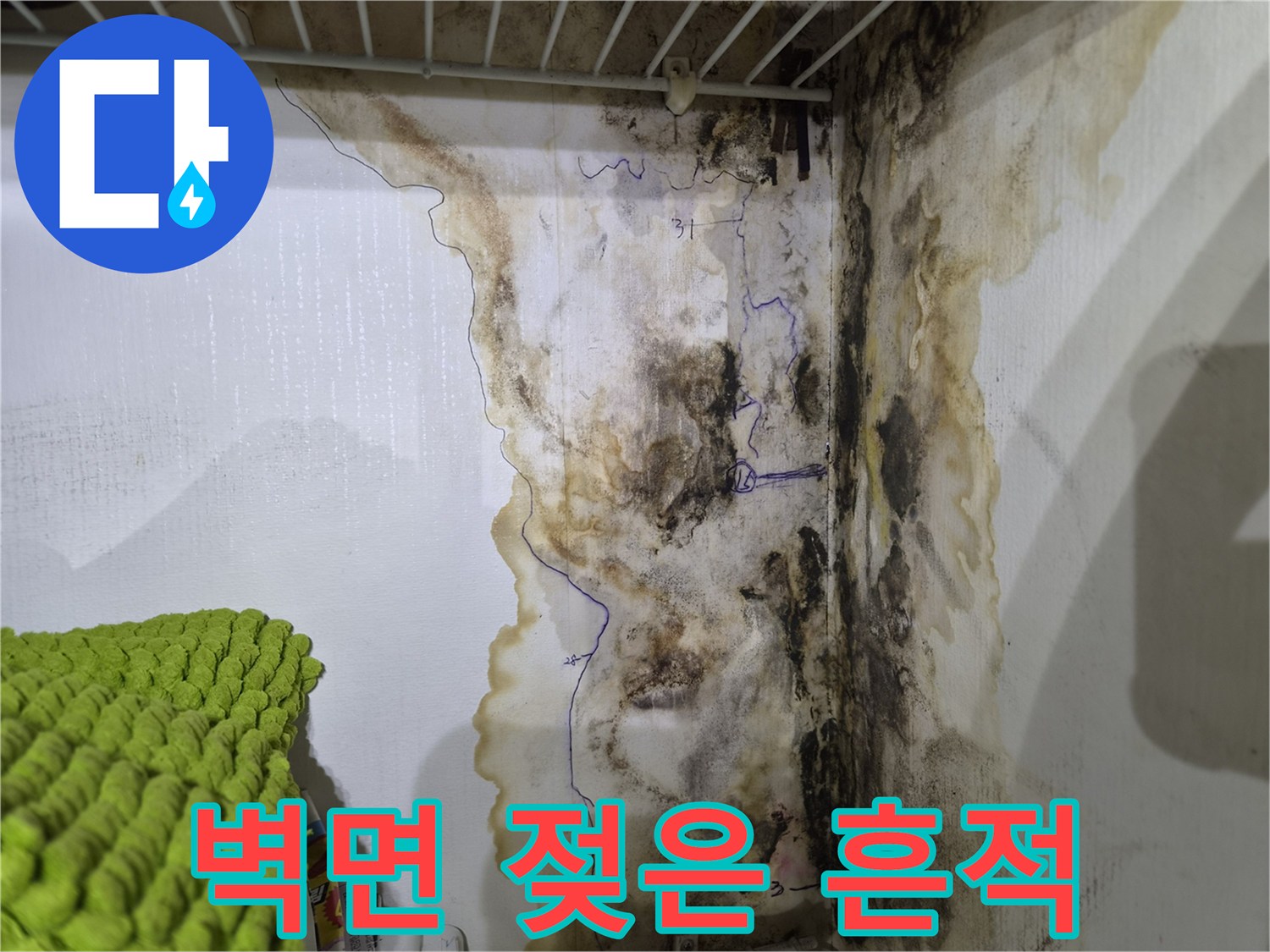 습기가 침투하여 변색된 벽지의 곰팡이 현장