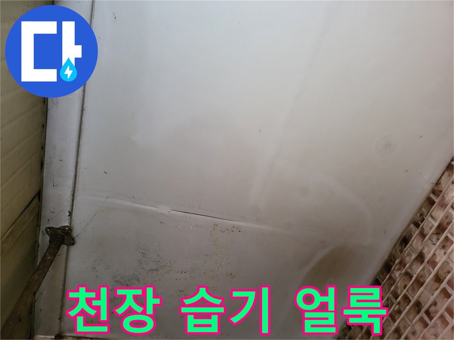 누수로 인해 오염된 천장 벽지의 모습