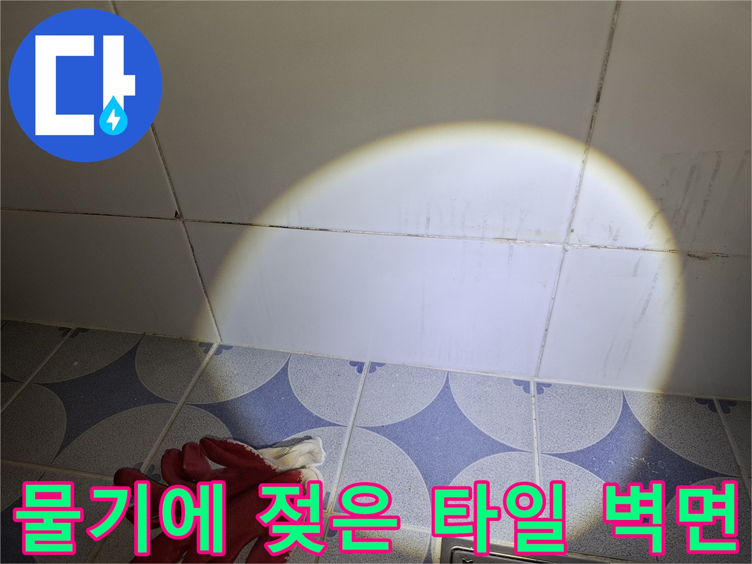 안산 상록구 화장실의 습기 머금은 타일 줄눈