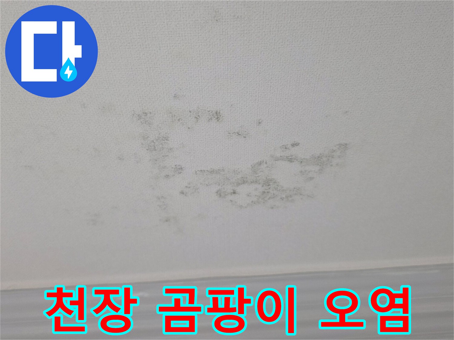 거실 천장 마감재에 발생한 누수 및 곰팡이 흔적