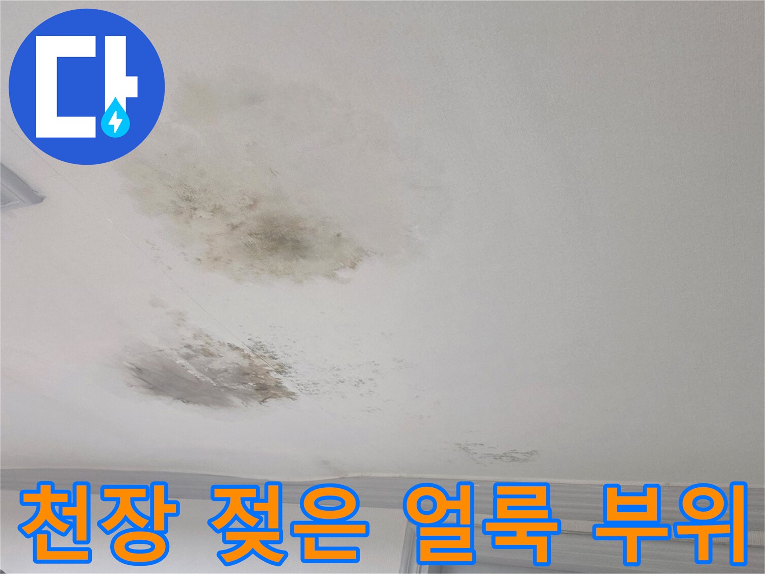거실 천장에 발생한 넓은 범위의 습기 침투 흔적
