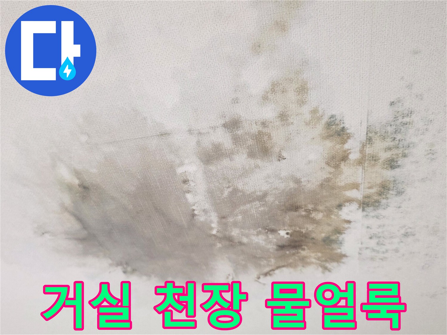 거실-천장에-발생한-심한-물자국과-곰팡이