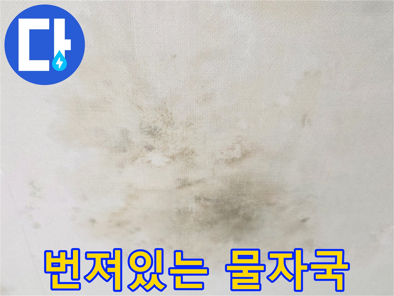 넓은-범위로-번져나간-천장-물자국-사진