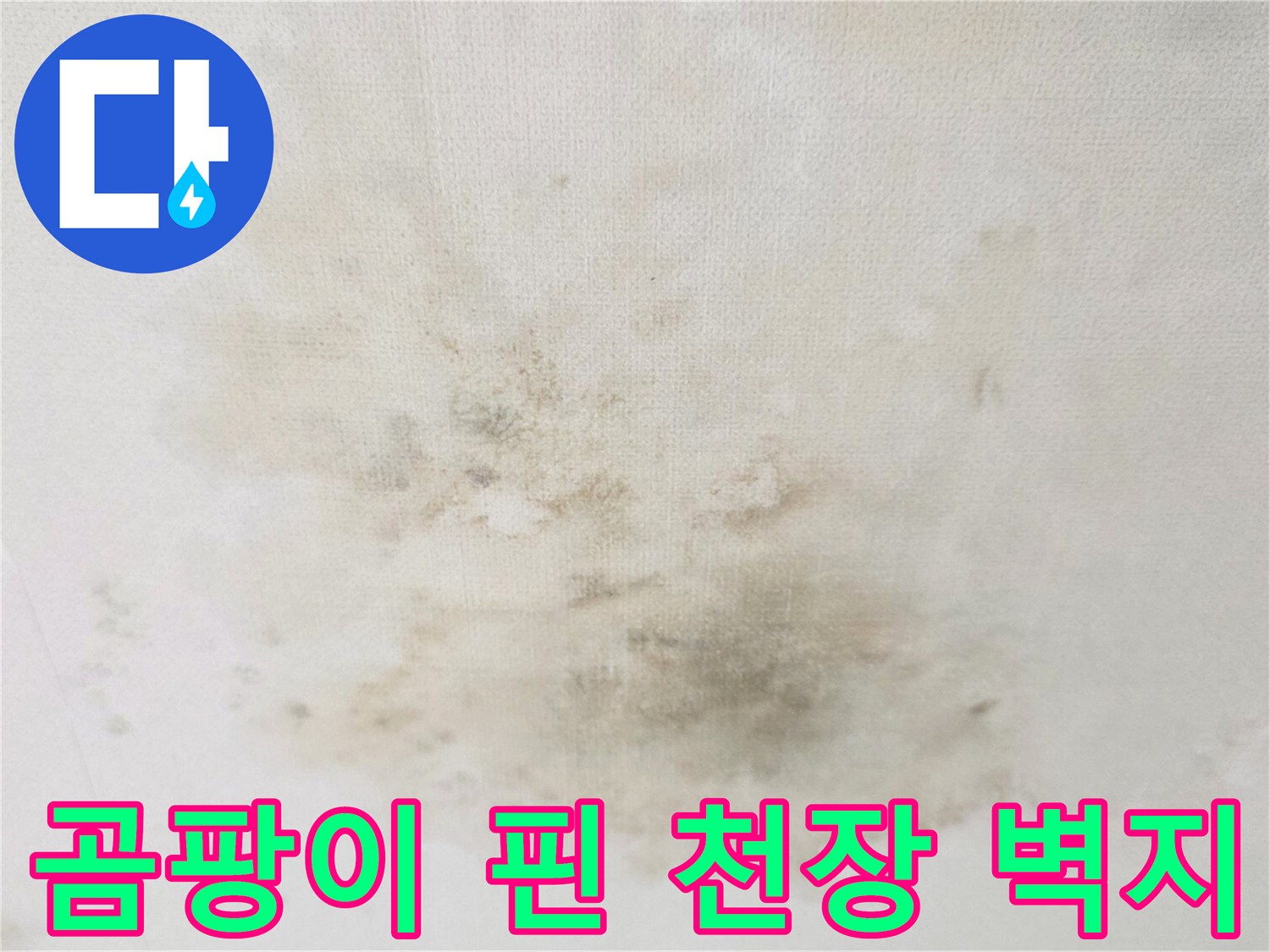 습기로 인해 변색된 천장 도배지 부위