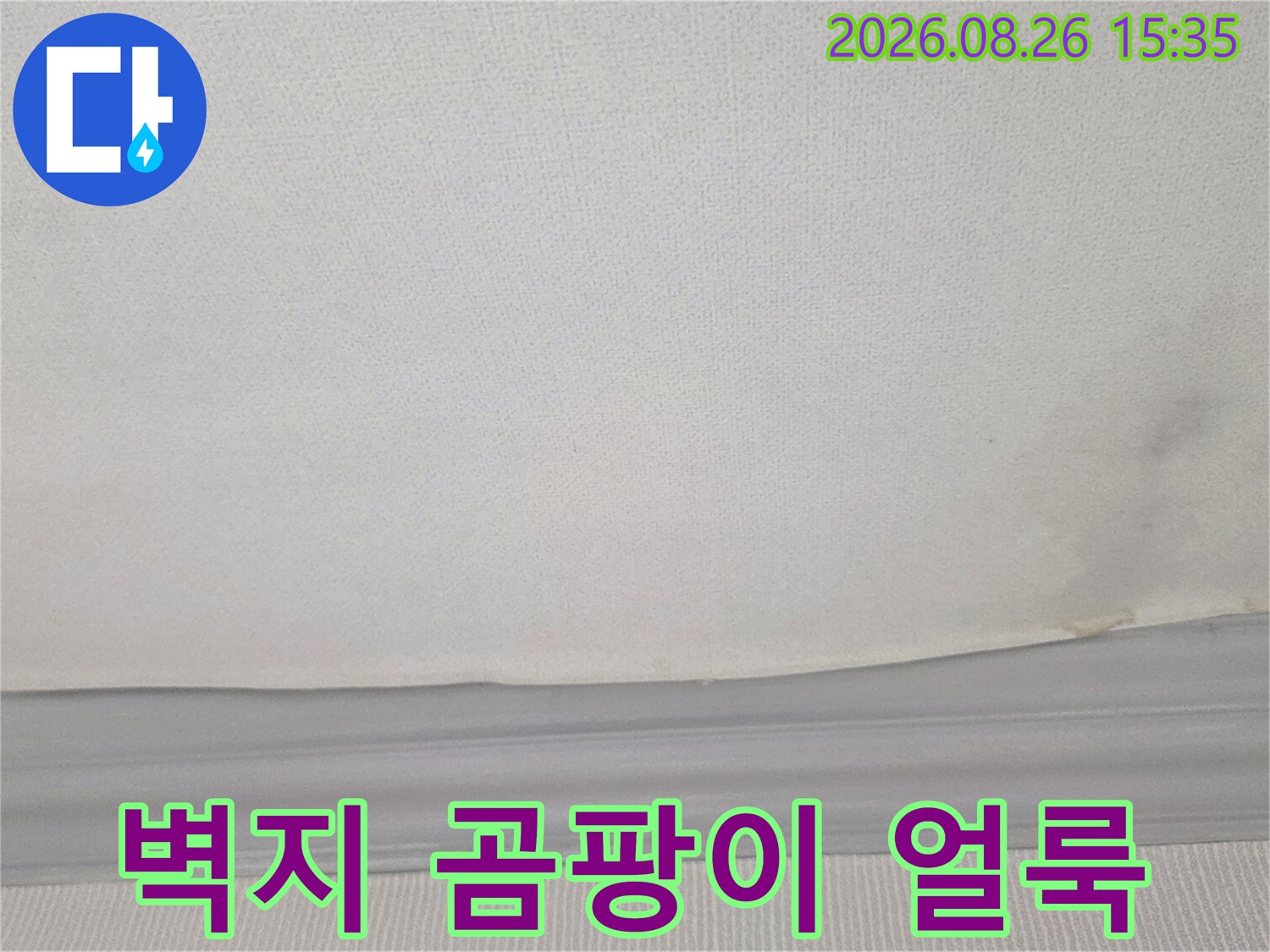 습기로 인해 변색된 천장 벽지와 가장자리 몰딩 부위