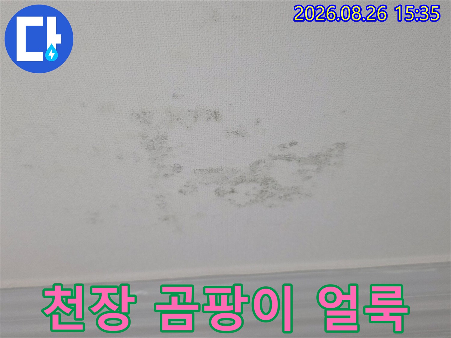 천장에 번진 검은색 곰팡이와 습기 흔적 사진