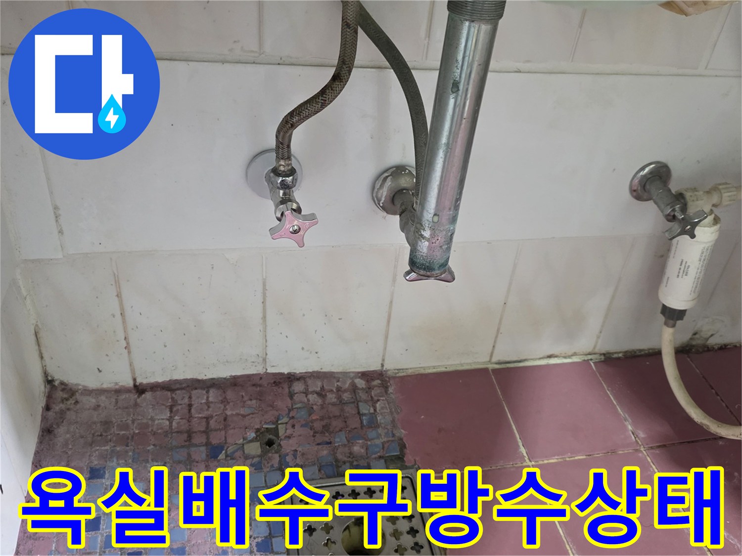 화장실-배수구-주변-타일-틈새-점검-사진