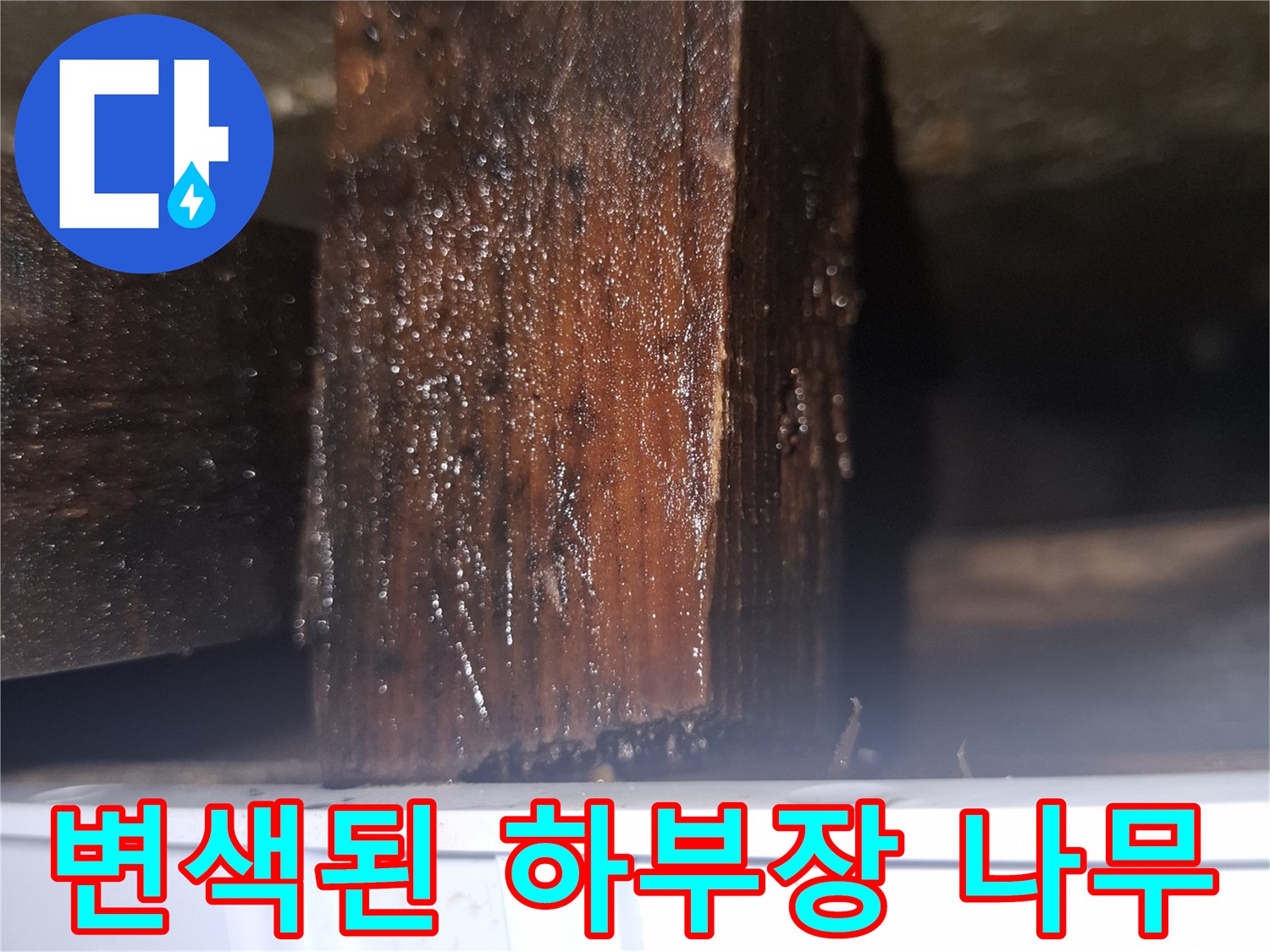 습기에 의한-목재 변색 및 부식 상태