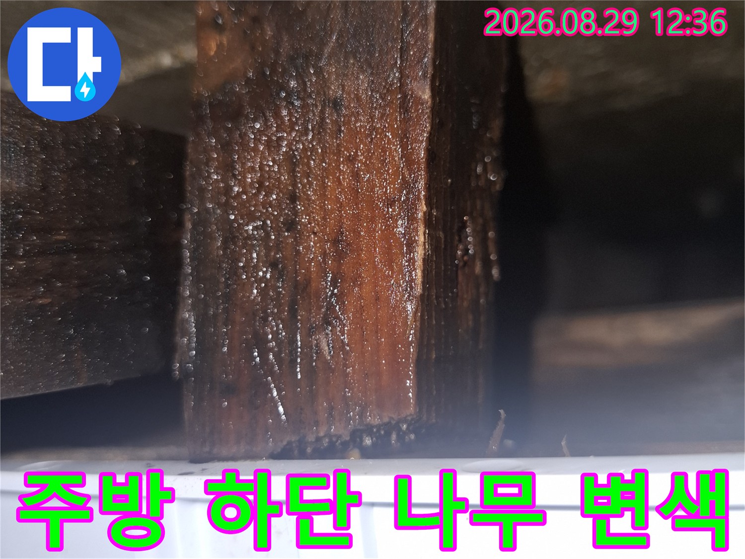 싱크대 밑 목재 구조물이 물기에 젖어 어둡게 변한 사진입니다.