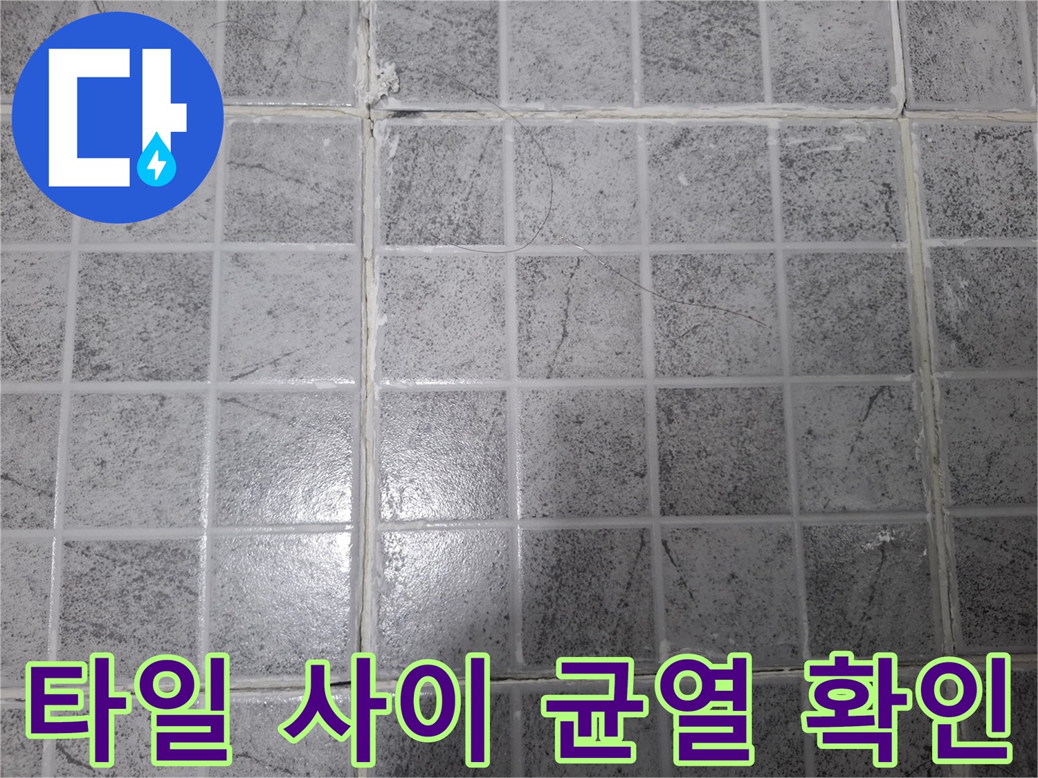 양천구 목동 현장의-타일 줄눈 균열 상태 사진