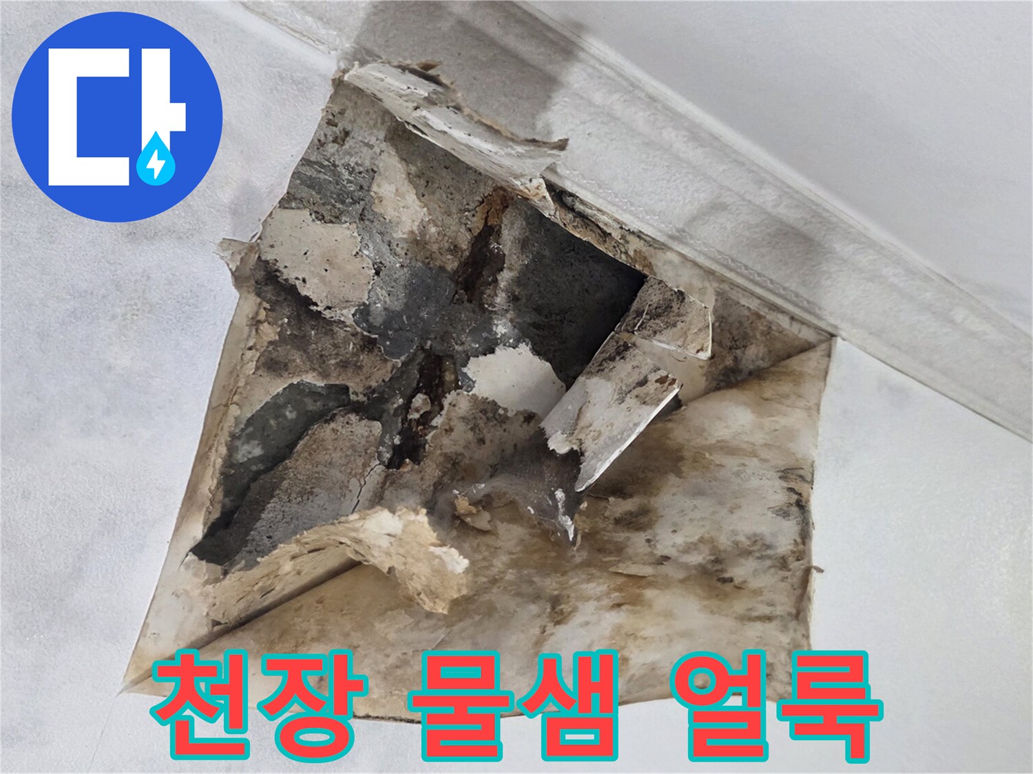 광명 하안동 아파트 천장 벽지가 젖고 곰팡이가 발생한 모습